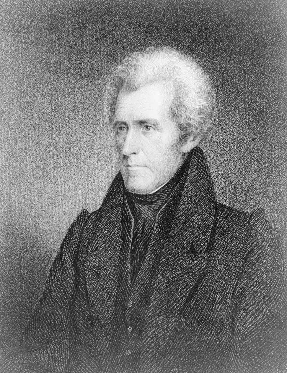 安德鲁·杰克逊（Andrew Jackson），约1815年 作者 詹姆斯·巴顿·朗加尔