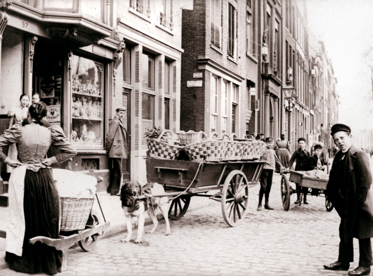 Dogcart，安特卫普，1898年。 作者 詹姆斯·巴特金
