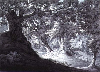 Beddington，萨里 作者 詹姆斯·伯恩