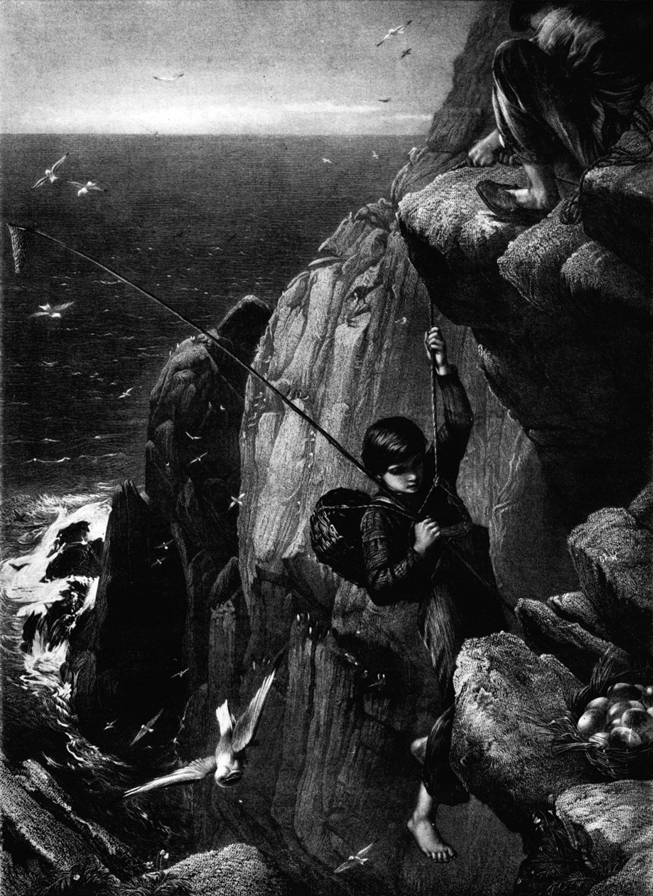 蛋收集者，c1873，1911 作者 詹姆斯·克拉克·胡克
