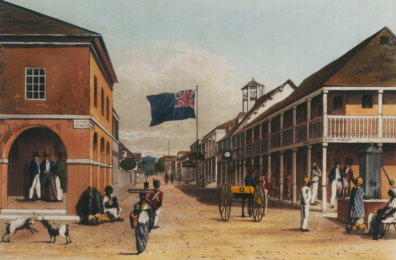 从1820年和1821年，1820-21年制得的素描出发，对牙买加岛进行风景如画的游览 作者 詹姆斯·哈克威尔