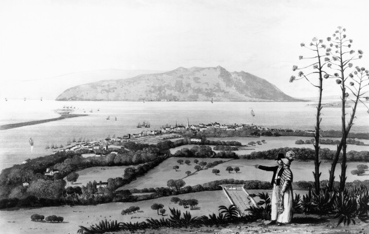 金斯敦和皇家港口，来自“牙买加岛风景如画的旅行”，由托马斯·萨瑟兰（石版画）雕刻而成 作者 詹姆斯·哈克威尔