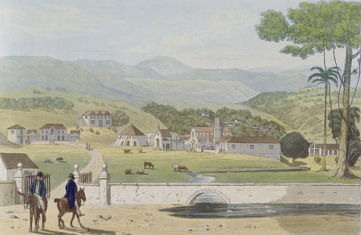蒙彼利埃庄园，圣詹姆斯，来自&39;牙买加岛的风景如画之旅&39;，由菲尔丁雕刻，1824年 作者 詹姆斯·哈克威尔