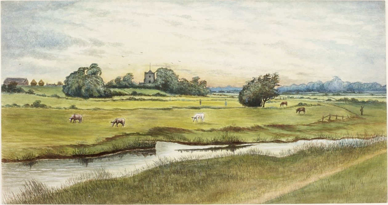 Ryton Meadows（纸上水彩和身体彩色） 作者 詹姆斯·亨利·克莱特