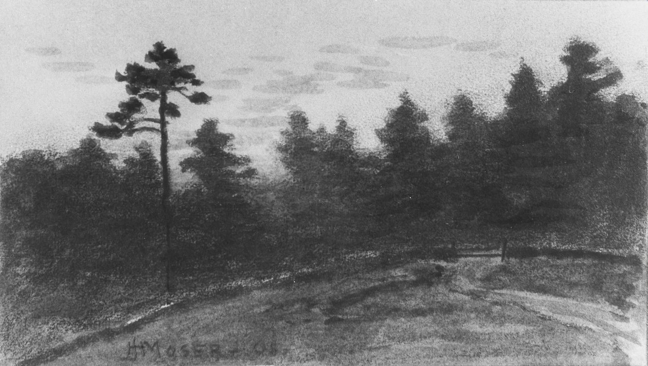 景观来自麦圭尔剪贴簿，1908年。 作者 詹姆斯·亨利·摩泽