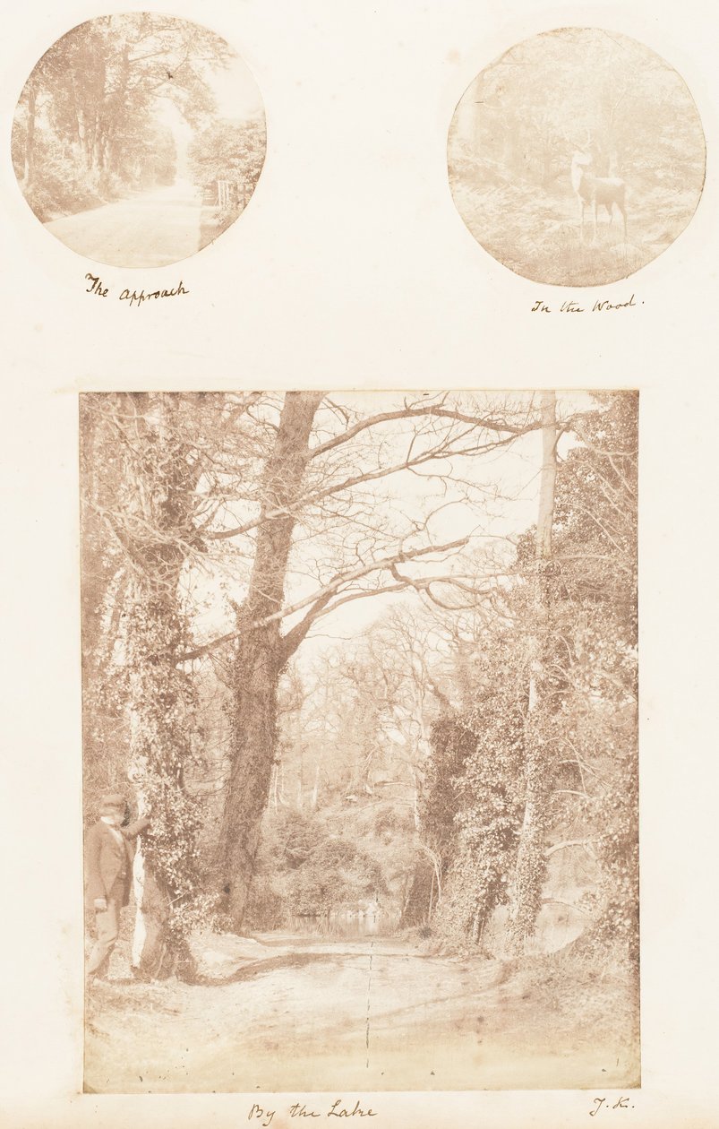 走近，在森林里，在湖边，1853-56年。 作者 詹姆斯·奈特