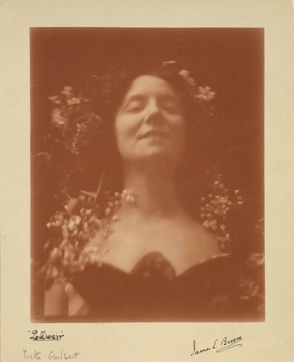 《欲望》：伊维特·吉尔伯特（Yvette Guilbert）肖像，1896年 作者 詹姆斯·L·布雷斯