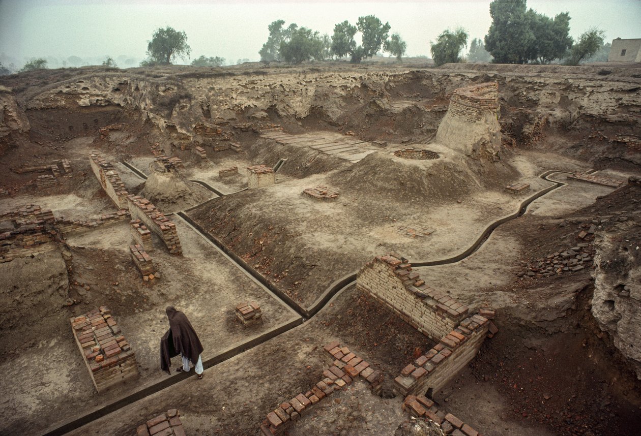 一个坑的全貌，坑内有砖墙遗迹和一口砖井。HARAPPA E... 作者 詹姆斯·L·斯坦菲尔德