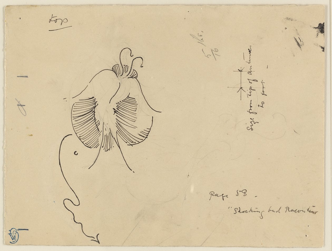 蝴蝶（正面）；蝴蝶残片（背面） 作者 詹姆斯·麦克尼尔·惠斯勒