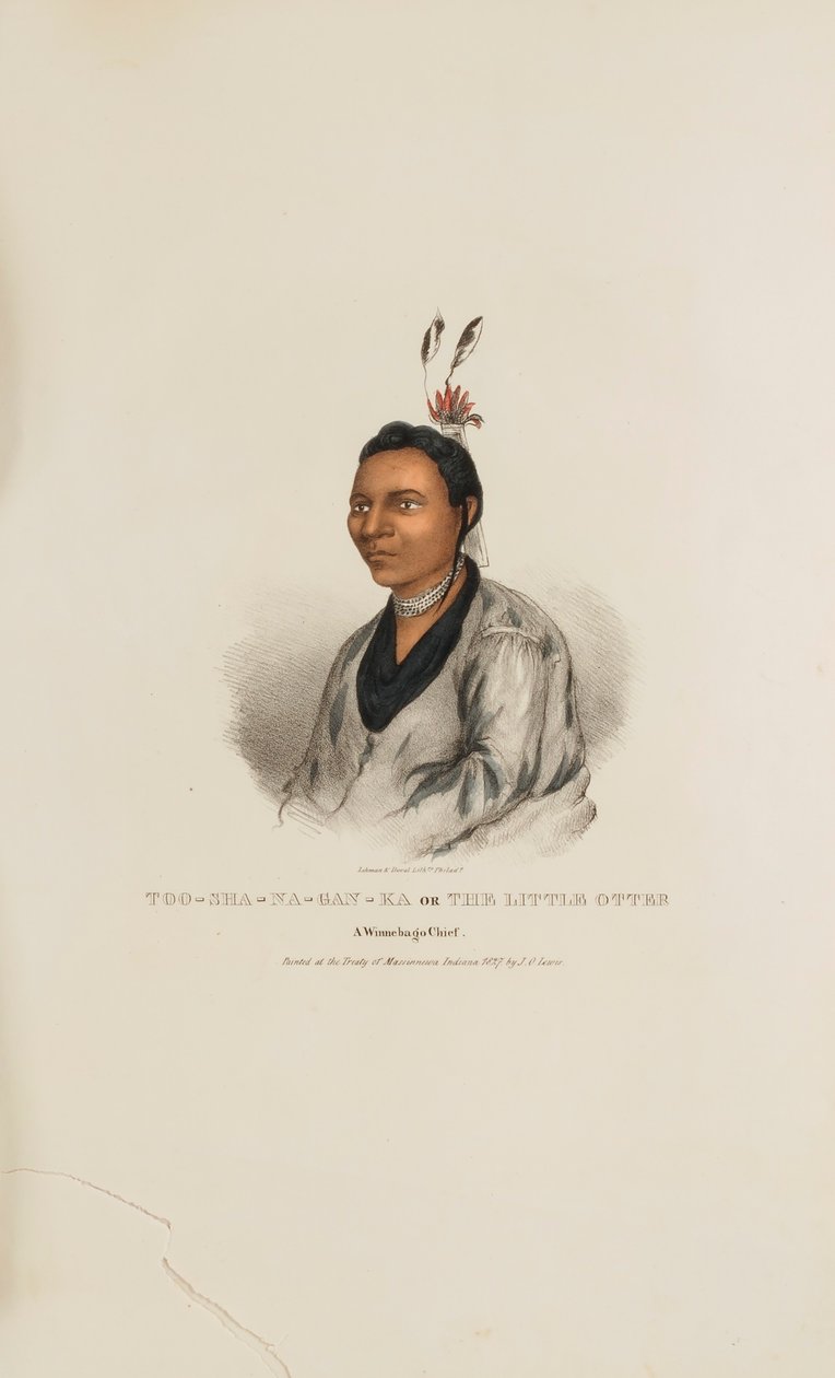 TOO-SHA-NA-GAN-KA 或 "小水獭"；温尼巴格酋长，选自《原住民作品集 作者 詹姆斯·奥托·刘易斯