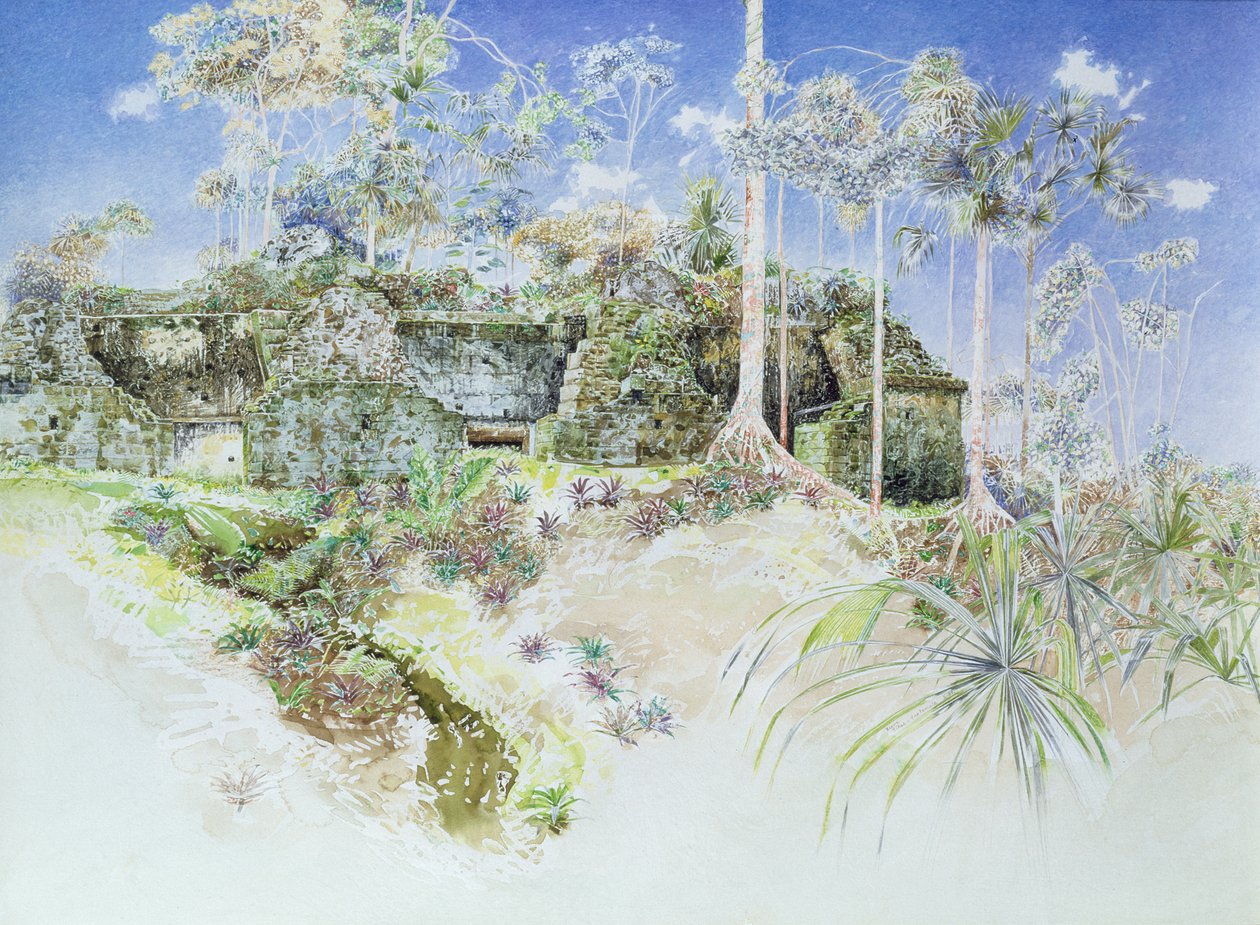 危地马拉蒂卡尔，Ruined Temple，1984年（纸上写着） 作者 詹姆斯·里夫