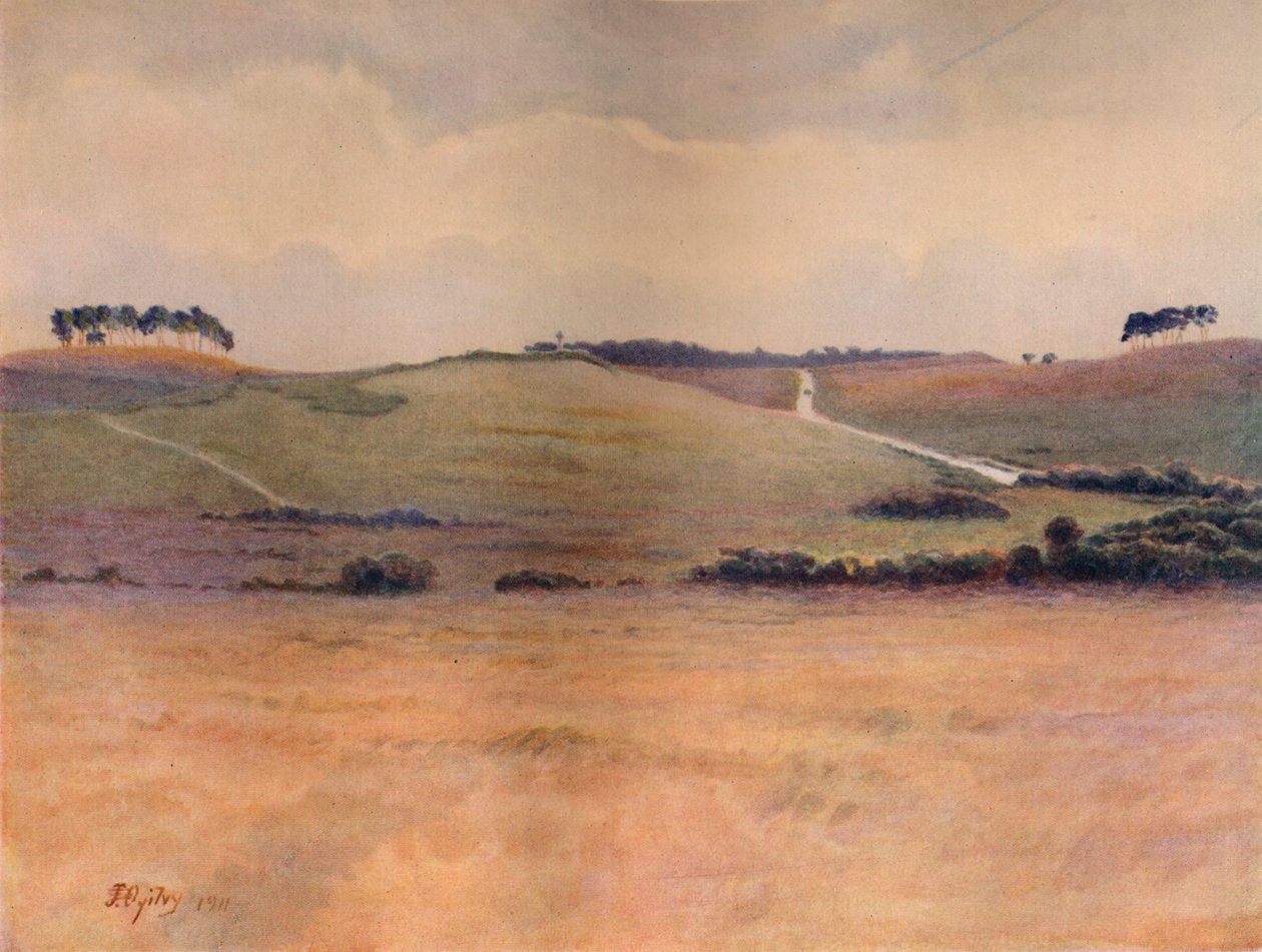 Chobham Common》，1911年，1914年 作者 詹姆斯·S·奥格威