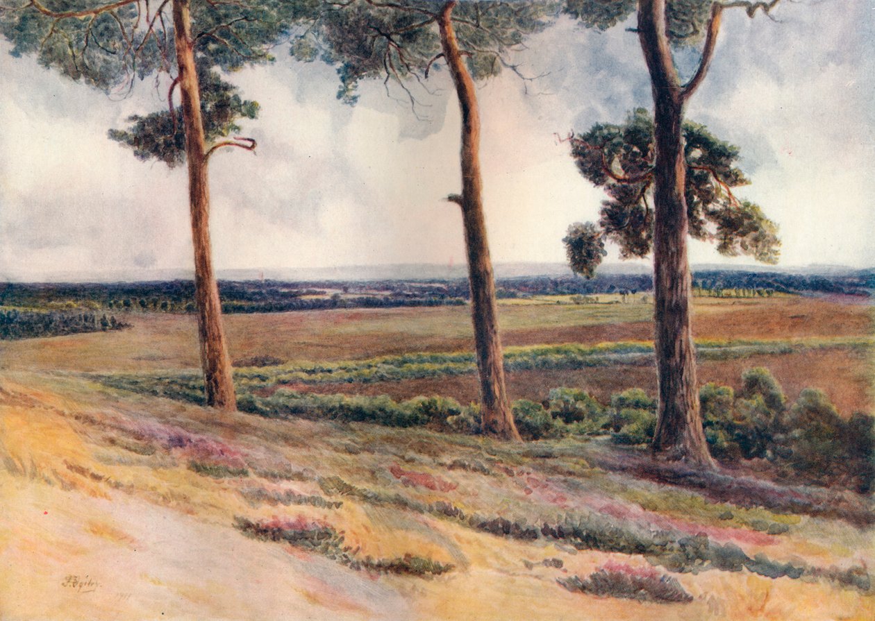 斯坦普尔山的风景》，1911年，1914年 作者 詹姆斯·S·奥格威