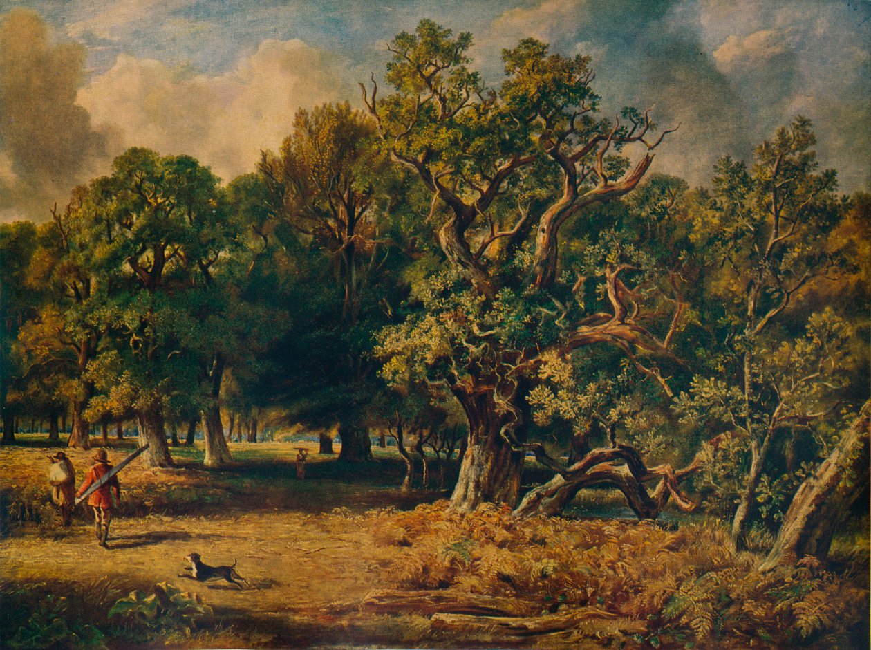 温莎森林（c1835） 作者 詹姆斯·斯塔克