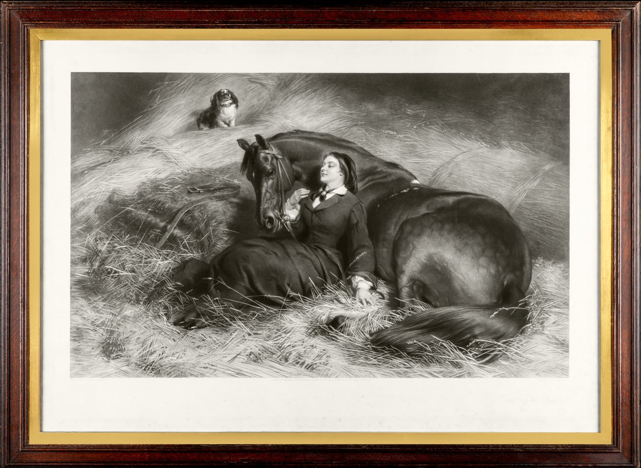 驯服泼妇（又称“漂亮的破马者”）（mezzotint） 作者 詹姆斯·斯蒂芬森