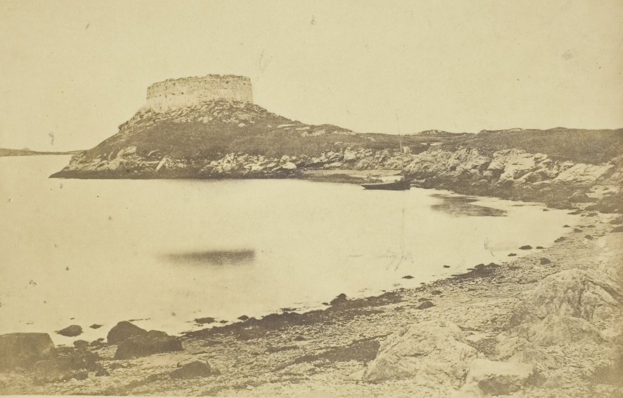 饺子堡，185974。 作者 詹姆斯·华莱士·布莱克