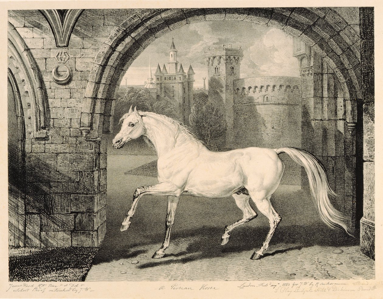 波斯马，来自&39;Celebrated Horses&39;，由艺术家1823-24发表的14件赛车版画 作者 詹姆斯·沃德