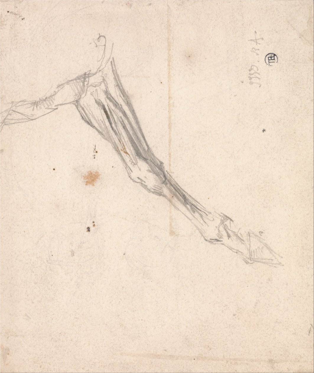 马的前腿-可能是泰特美术馆（Tate Gallery）的一项关于L&39;Amour de Cheval的研究，日期为1827年 作者 詹姆斯·沃德