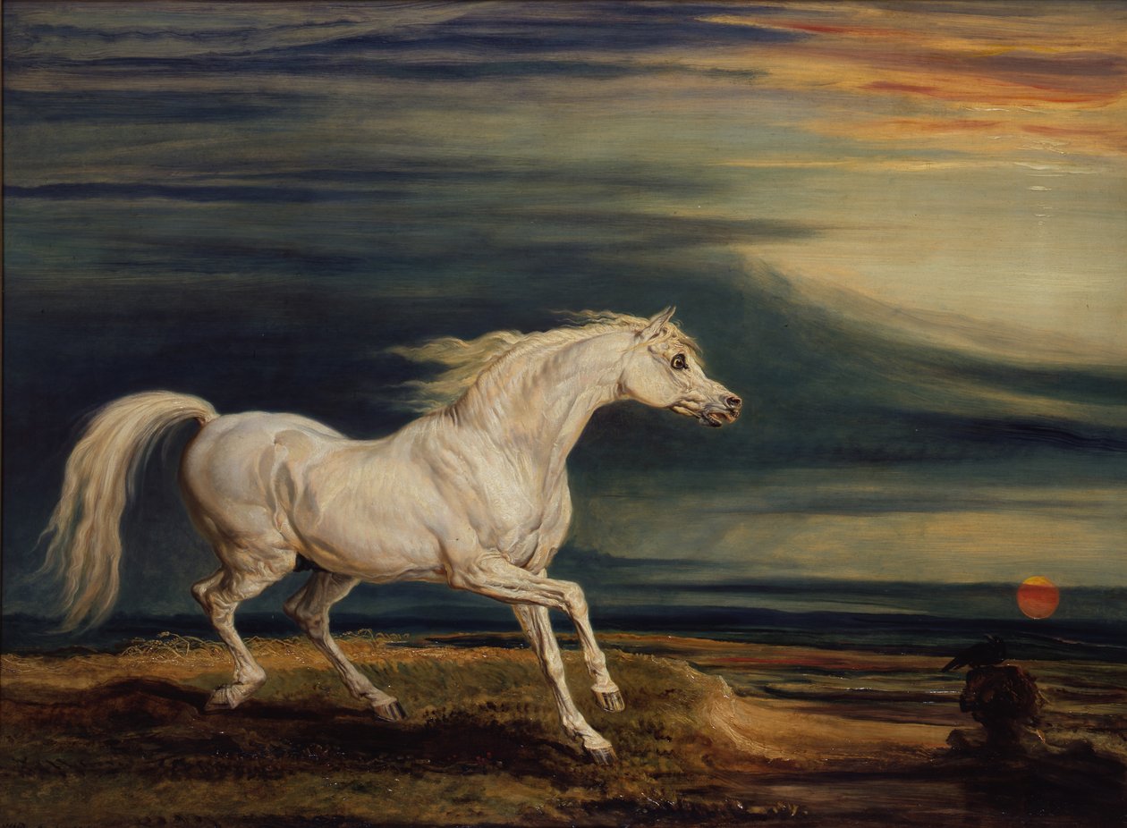 Marengo, the Arab charger, ridden by Napoleon Bonaparte at the Battle of Waterloo 作者 詹姆斯·沃德