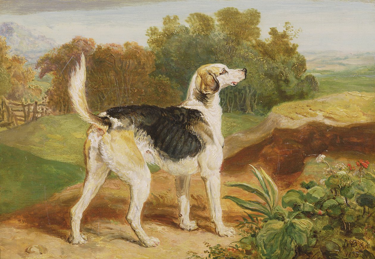 掠夺者，兰伯顿猎犬之一（面板上的油） 作者 詹姆斯·沃德