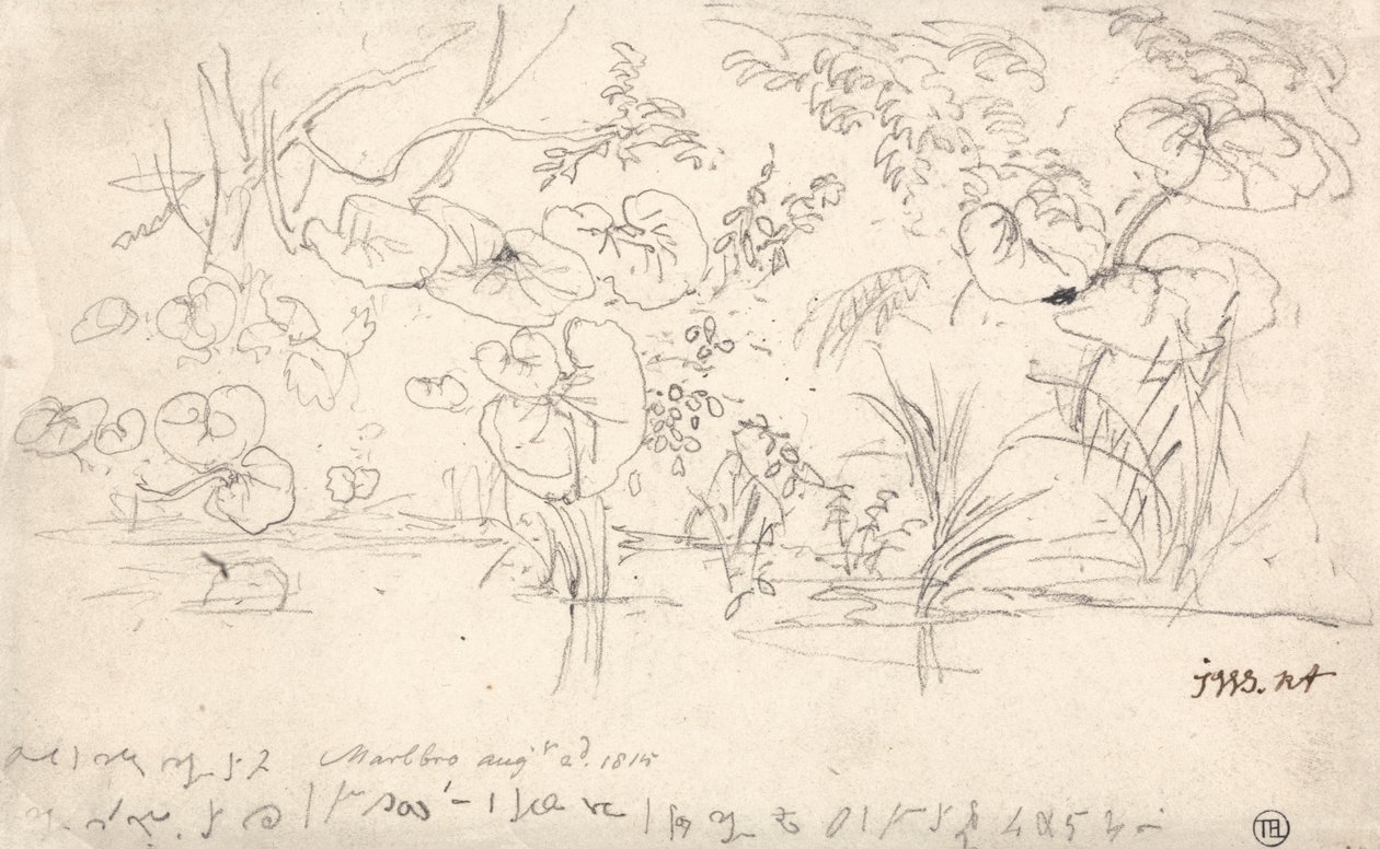 植物研究》，1815 年 8 月 2 日 作者 詹姆斯·沃德
