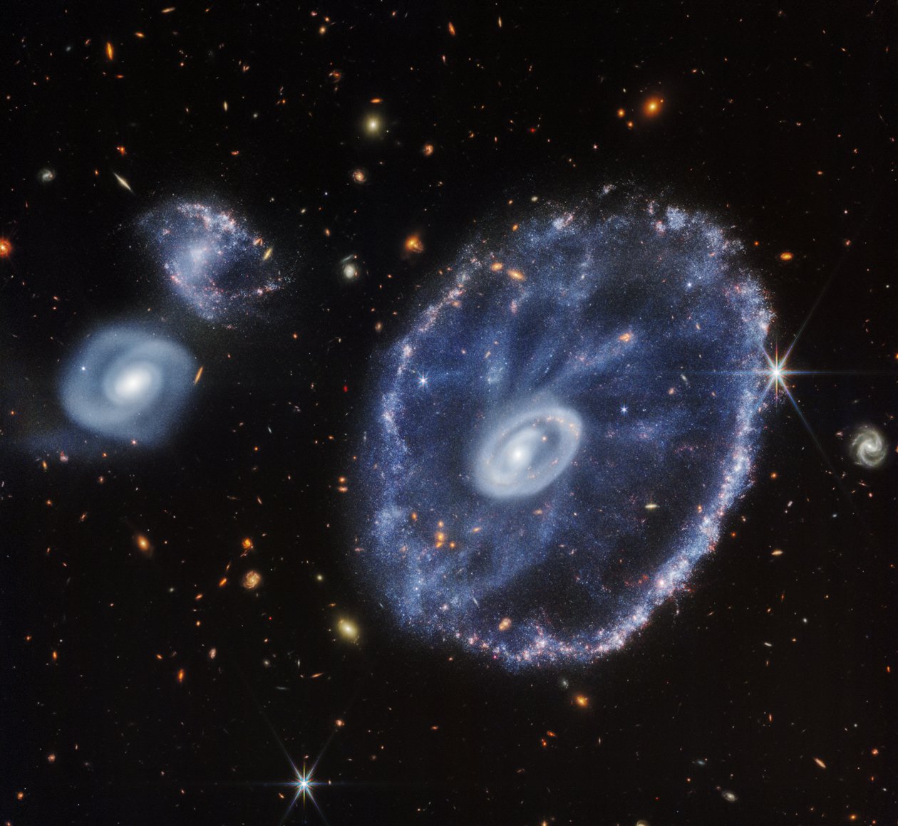 Cartwheel Galaxy（仅限 NIRCam） 作者 詹姆斯韦伯太空望远镜 (NASA)