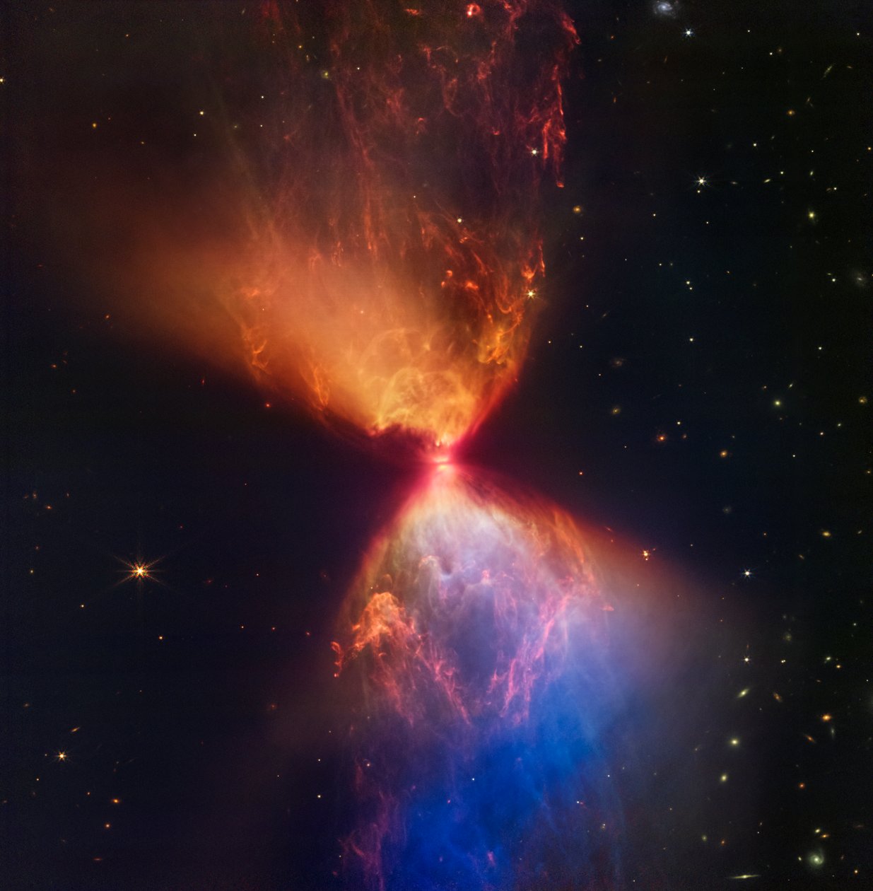 L1527 和原恒星（NIRCam 图像） 作者 詹姆斯韦伯太空望远镜 (NASA)