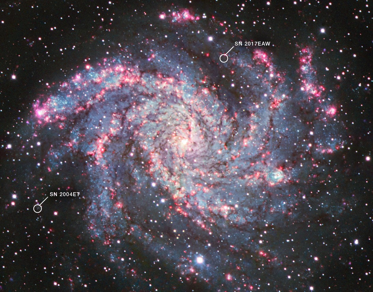 NGC 6946（基特峰国家天文台） 作者 詹姆斯韦伯太空望远镜 (NASA)