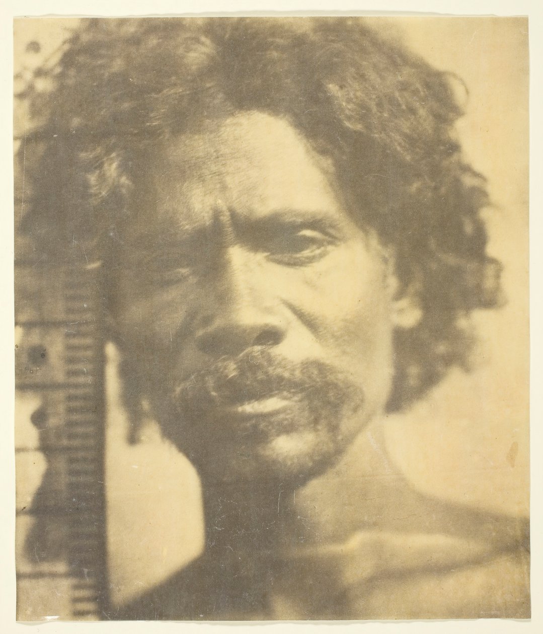 库鲁巴人，1873年。 作者 詹姆斯·威尔金森·布里克斯