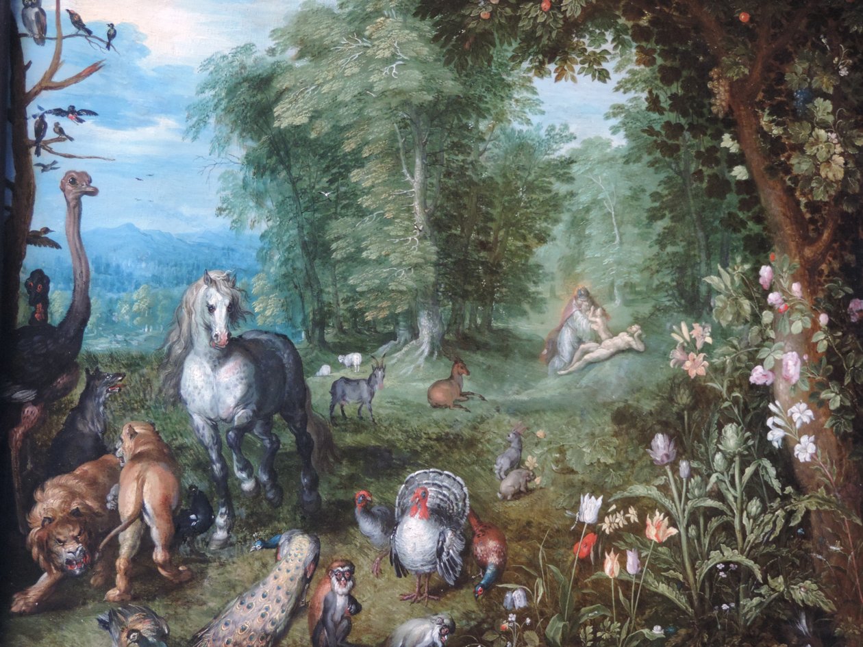天堂与夏娃的创造 作者 扬·布鲁格（Jan Brueghel）