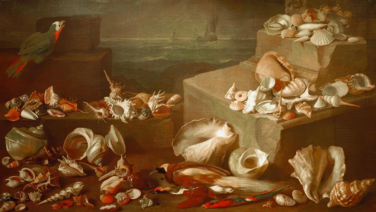 静物与蜗牛和贝壳 作者 扬·戴维兹·德·海姆（Jan Davidsz de Heem）