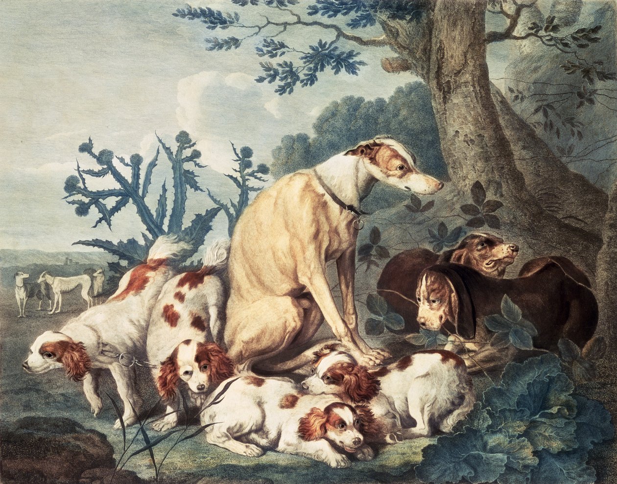 狗的肖像，由Daniel Lerpiniere（c.1745-85），酒吧雕刻。作者：John und Josiah Boydell，1799年（点画雕刻） 作者 扬·费特