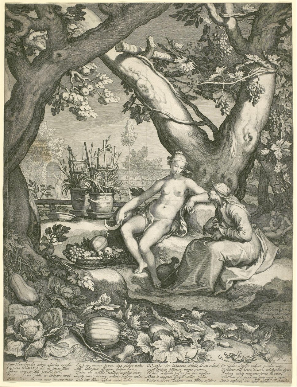 Vertumnus借用一位老妇人的形象来赢得Pomonas Love 作者 简·彼得斯（Jan Pietersz）。塞伦丹