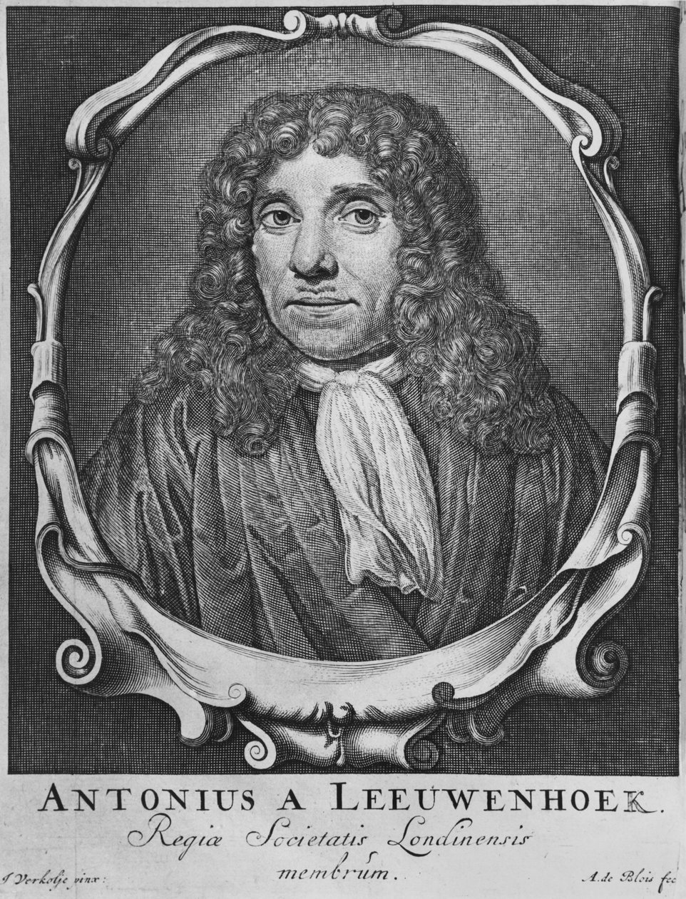 Anton Van Leeuwenhoek的肖像，来自&39;Arcania naturae ...&39;的插图，由Abraham de Blois（17-18世纪）莱顿雕刻，1722年 作者 扬·韦尔科列