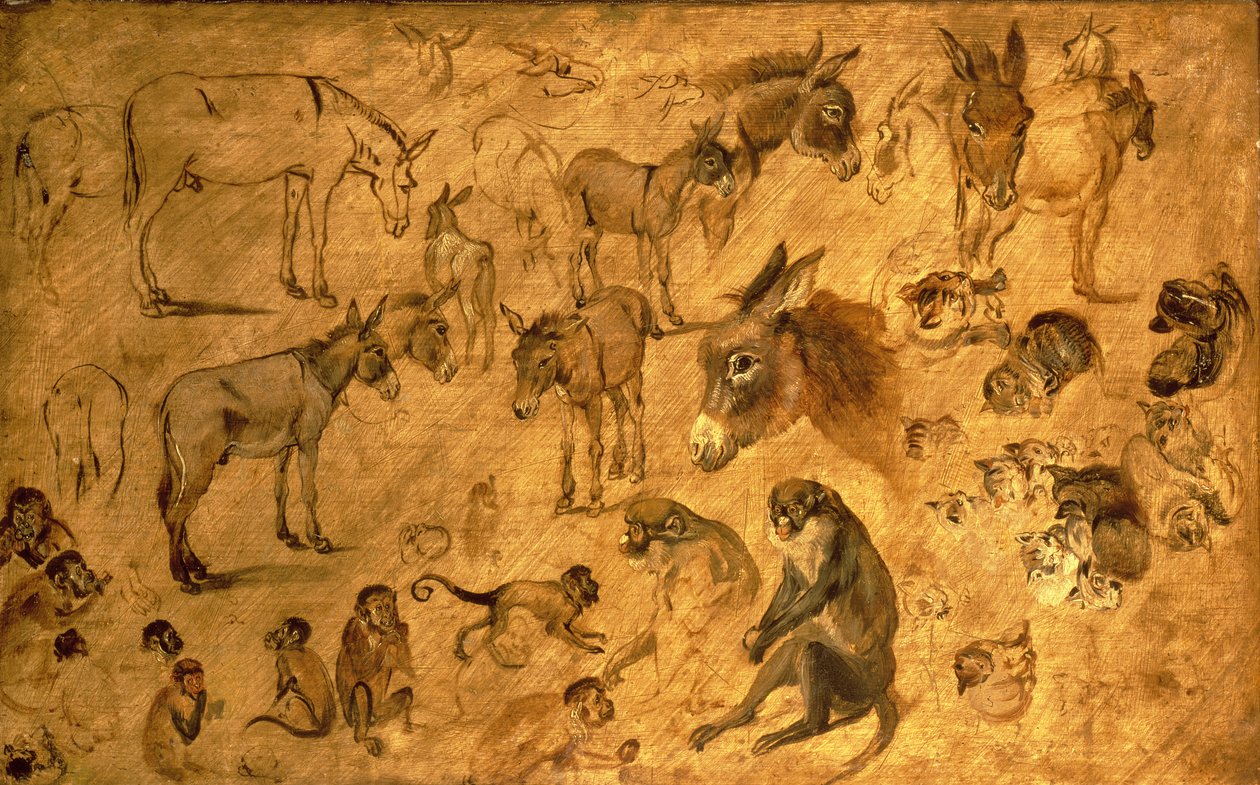 研究驴，小猫和猴子，1616年 作者 简·布鲁格尔·扬