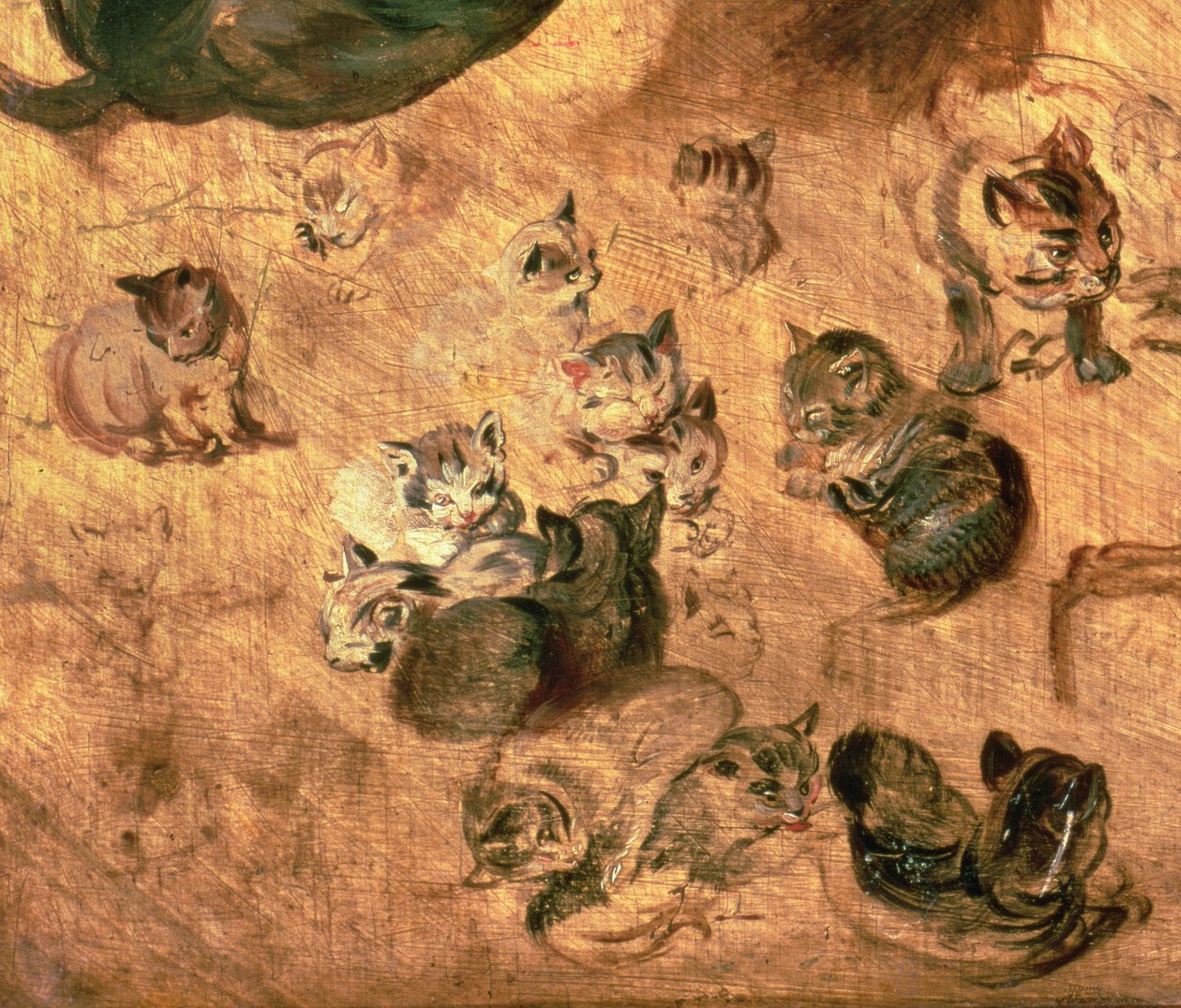 猫的研究，1616（细节65879） 作者 简·布鲁格尔·扬
