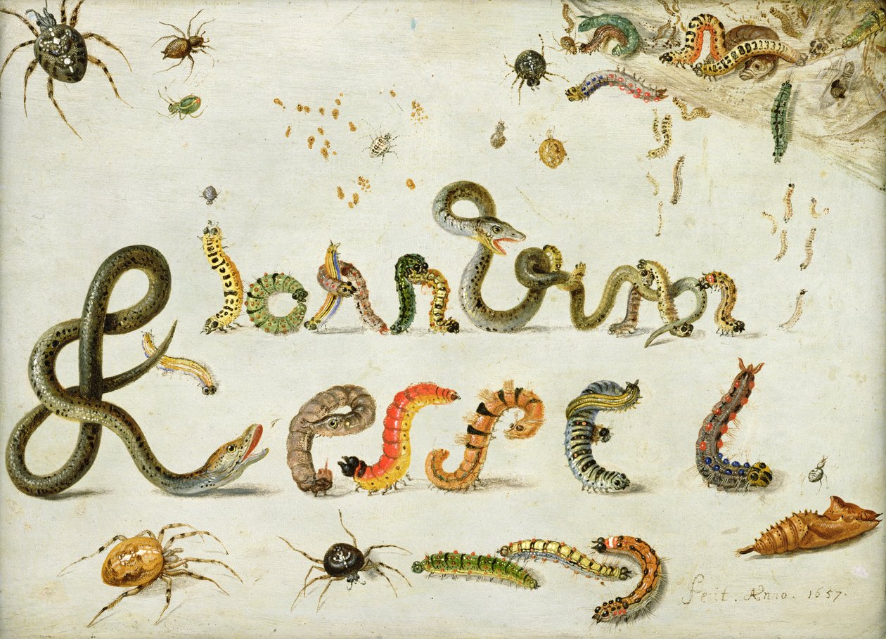 花园和其他蜘蛛，毛毛虫拼写艺术家的名字，1657（铜上的油） 作者 扬·范·凯塞尔（Jan van Kessel）