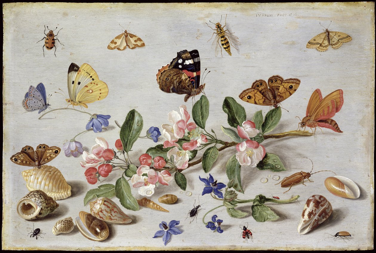 昆虫（铜上油） 作者 扬·范·凯塞尔（Jan van Kessel）