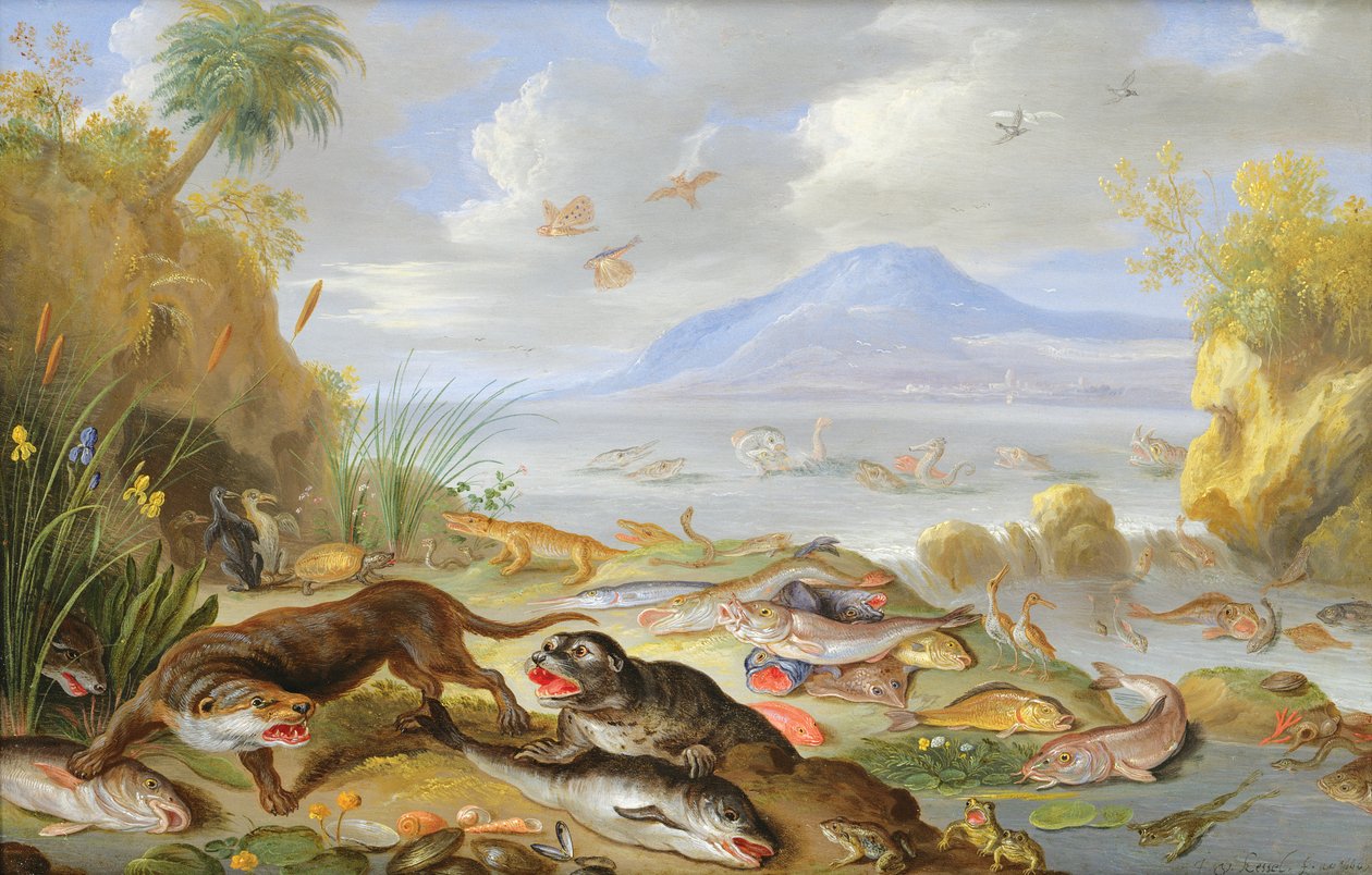 水元素，1660（铜上油） 作者 扬·范·凯塞尔（Jan van Kessel）