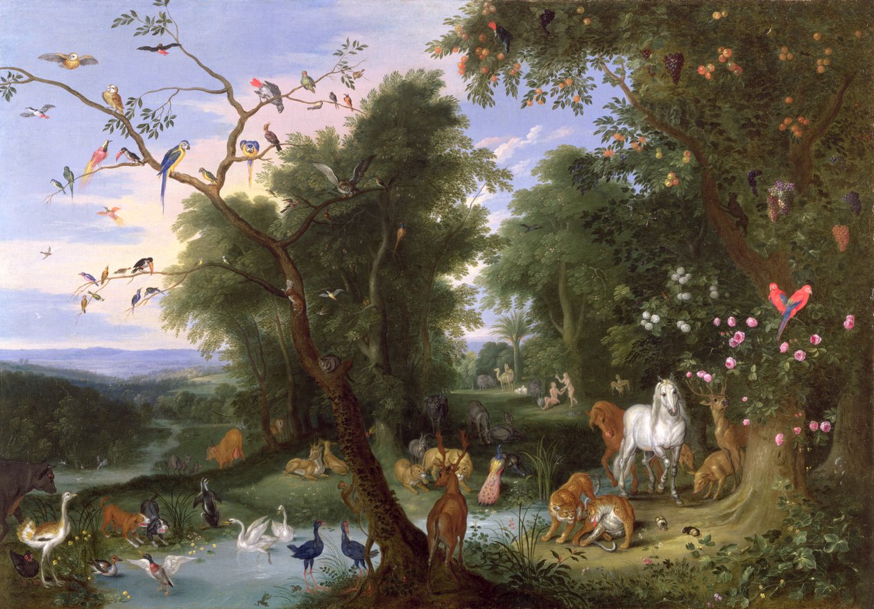 伊甸园，1659年 作者 扬·范·凯塞尔（Jan van Kessel）