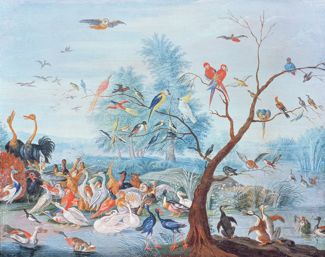 在风景的热带鸟 作者 扬·范·凯塞尔（Jan van Kessel）