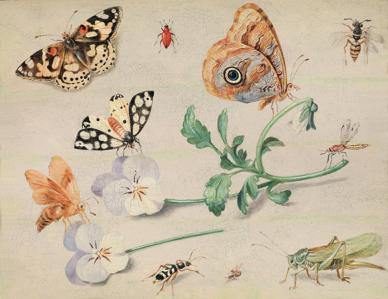 昆虫和花的研究 作者 扬·范·凯塞尔（Jan van Kessel）