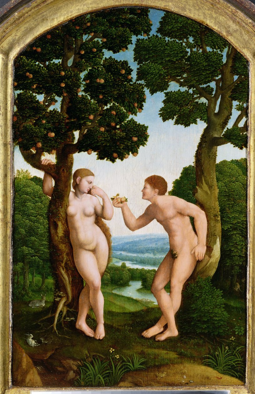 天堂的亚当和夏娃（面板上的蛋彩画） 作者 扬·范·斯柯（Jan van Scorel）