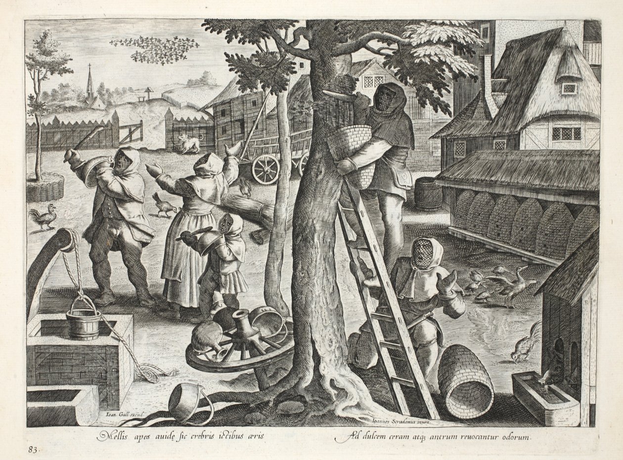 养蜂人，板83，插图来自&39;Venationes，Ferarum，Avium，Piscium&39;（狩猎：野兽，鸟类，鱼类），由Jan Collaert（1566-1628），酒吧雕刻。作者：菲利普斯加拉乌斯（阿姆斯特丹） 作者 扬·范德·斯特雷特