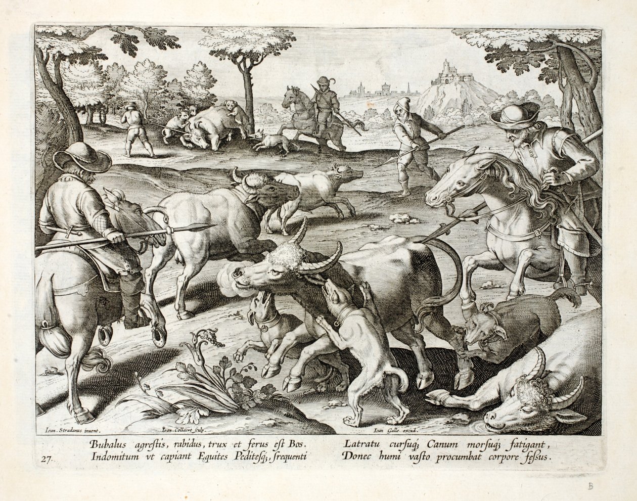 狩猎野牛，插图来自&39;Venationes，Ferarum，Avium，Piscium&39;（狩猎：野兽，鸟类，鱼类），由Jan Collaert（1566-1628）雕刻，酒吧。来自阿姆斯特丹的Phillipus Gallaeus 作者 扬·范德·斯特雷特