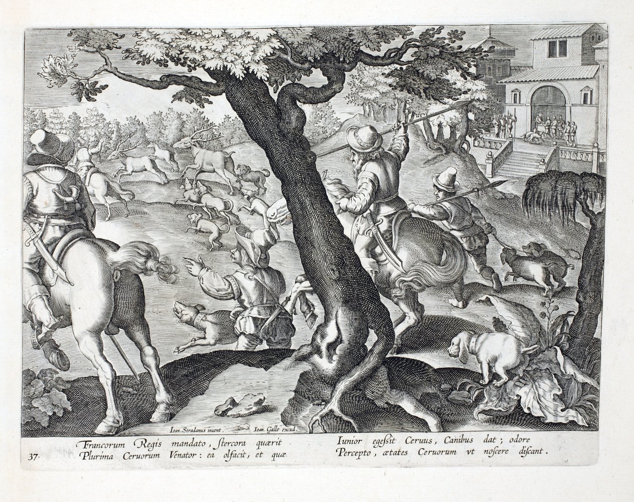 法国国王与狗狩猎，插图来自&39;Venationes，Ferarum，Avium，Piscium&39;（狩猎：野兽，鸟类，鱼类），由Jan Collaert（1566-1628），酒吧雕刻。作者：Phillipus Gallaeus 作者 扬·范德·斯特雷特