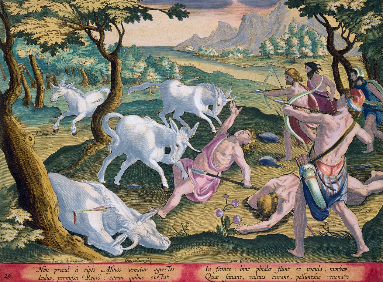 印第安纳河岸的独角兽，被国王许可猎杀，来自&39;Venationes Ferarum，Avium，Piscium&39;的板块29（狩猎：野兽，鸟类，鱼类）由Jan Collaert（1566-1628）酒吧雕刻 作者 扬·范德·斯特雷特