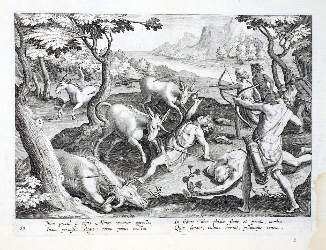 印第安纳河岸的独角兽，经国王允许猎杀，插图来自&39;Venationes，Ferarum，Avium，Piscium&39;（狩猎：野兽，鸟类，鱼类），由Jan Collaert（1566-162）雕刻 作者 扬·范德·斯特雷特