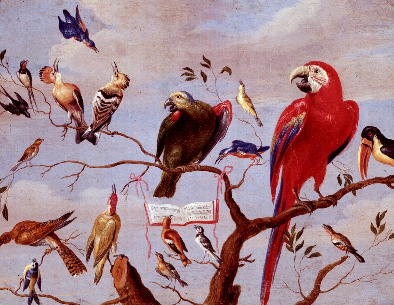 鸟类合唱，c.1650-1675（金属油） 作者 扬·范·凯塞尔（Jan van Kessel）