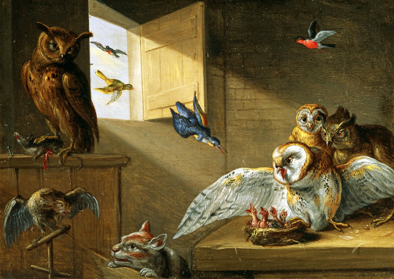 猫头鹰，其他鸟类和猫（铜上油） 作者 扬·范·凯塞尔（Jan van Kessel）